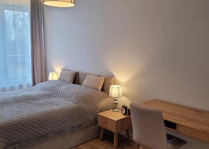 Wilda Corner Street View *